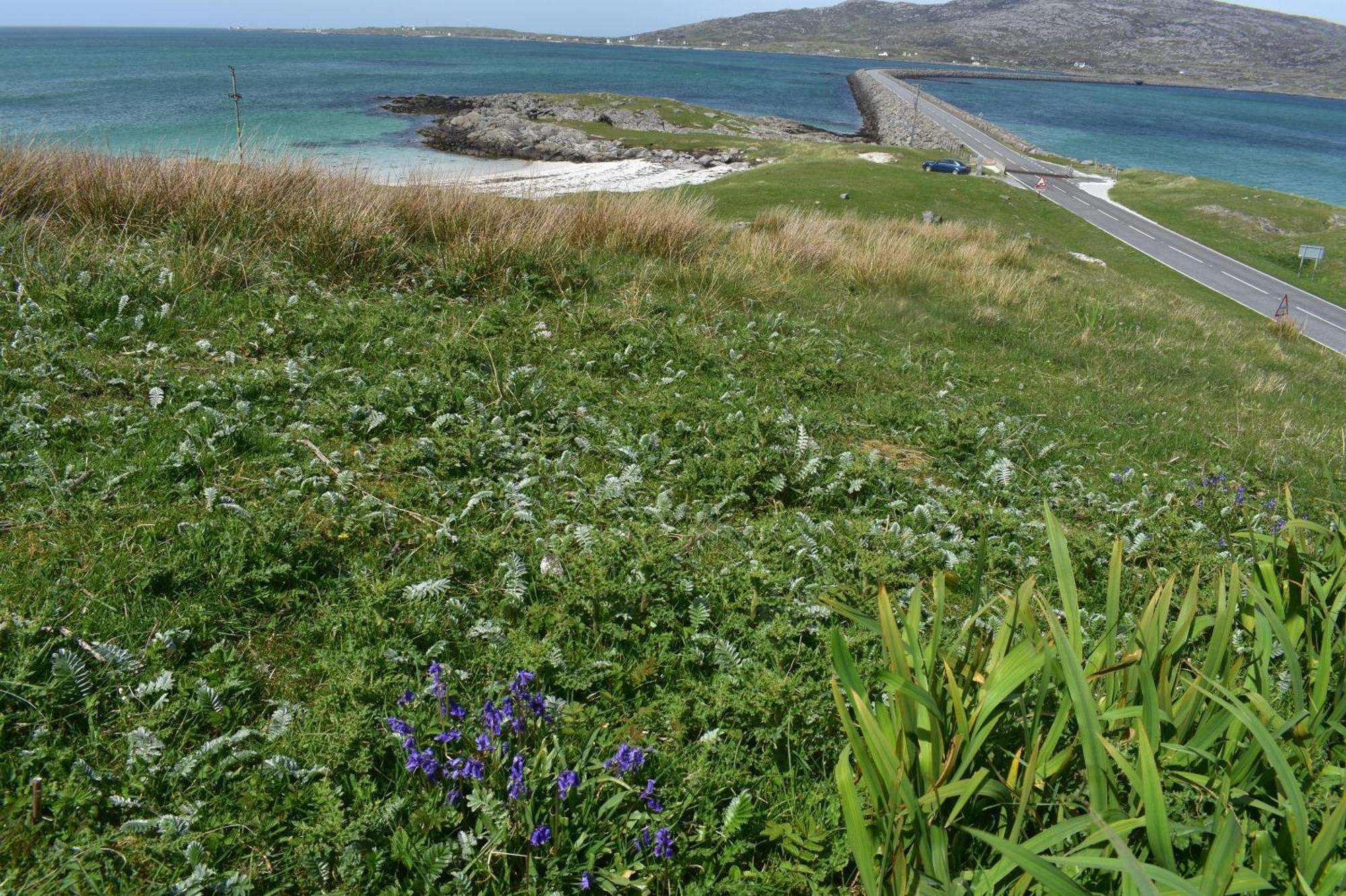 Glamping Pod for 4 Villa Eriskay Eksteriør billede